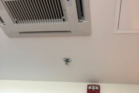 IMG_8733.jpg